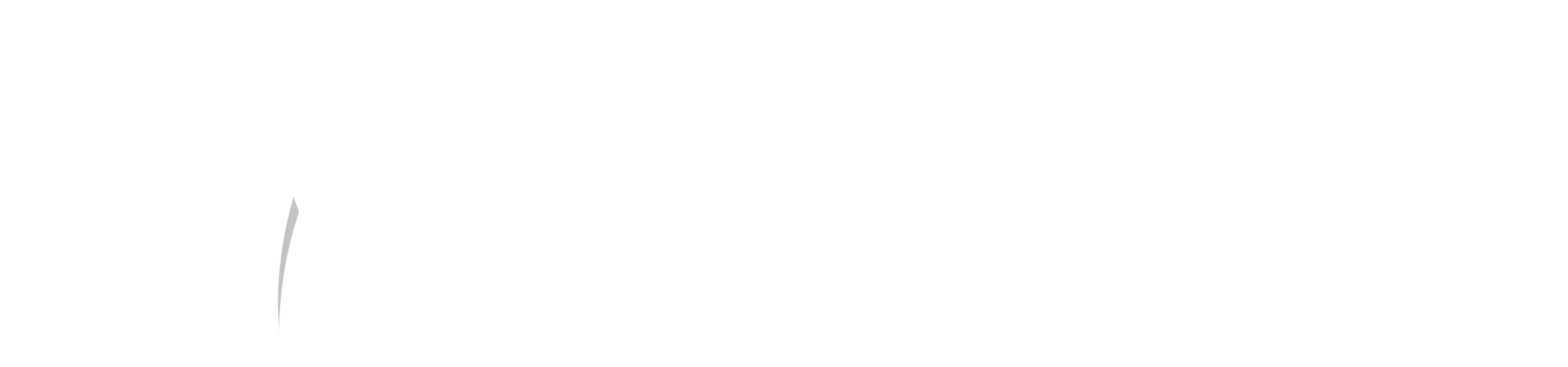 metabillers logo footer